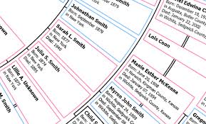 Genealogy Fan Chart Excel Lamasa Jasonkellyphoto Co