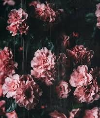 Vintage Grainy Scratchy Flowery Background Download This High Dark Floral Iphone In 2020 Vintage Flower Backgrounds Floral Wallpaper Iphone Vintage Floral Wallpapers