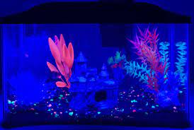 Alexa Voice Controlled Fish Tank Led Lights With 20 Color Etsy Fish Tank Glow Fish Fish Tank Lights