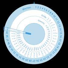 Und wie läuft in der schwangerschaft die erste untersuchung beim frauenarzt ab? Schwangerschaftswheel Gestogram Rechner