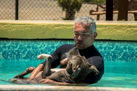 It has 41 sophisticated guest rooms, many of which have panoramic views across lisbon. Cesar Millan Sos Dogs Australia