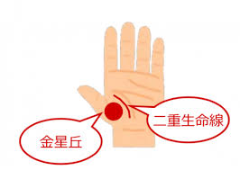 I don't have anyone i can talk with. ã‚¹ã‚¿ãƒŸãƒŠã‹ã‚‰ãƒ¢ãƒ†åº¦ã¾ã§ æ‰‹ç›¸ ã§è¦‹ã‚‹ã¹ããƒã‚¤ãƒ³ãƒˆ5ã¤