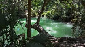 Contact form myanmar silver spring enterprise lt. Green Springs Park Deltona Florida Hikes