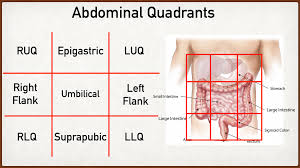 Any of the causes discussed below can also cause generalized abdominal distension. Abdominal Pain Causes By Location Stomach Anatomy And Quadrants Ezmed