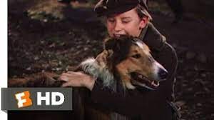 Favorite comment report download subtitle. Lassie Come Home 10 10 Movie Clip My Lassie Come Home 1943 Hd Youtube