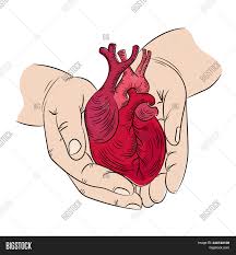 We did not find results for: Heart Hands Health Vector Photo Free Trial Bigstock