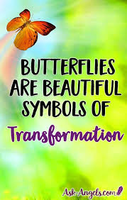 Black And White Butterfly Spiritual Meaning Butterfly Meaning The Symbolism Will Surprise You Butterfly Meaning Butterfly Quotes Butterfly Symbolism