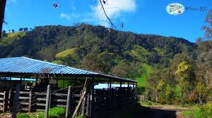 El Alto de Requintaderos ha visto crecer a Murillo... ...desde que era una  aldea hasta el día hoy ha sido testigo de su trasegar... ...sus caminos  también cuentan historias de Arrieros, Mulas,