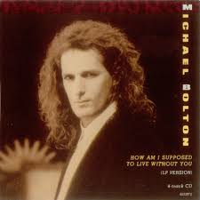 Or another example is let's say today is a day i need to work but i have a stomachache and i stay home from work. Stream Michael Bolton How Am I Supposed To Live Without You By Alaa Hedar Listen Online For Free On Soundcloud