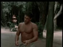 Jean claude van damme, movie, kick, from thunderbinder download gif tiger, or share you can share gif movie, kick, jean claude. Van Damme Kick Gifs Tenor