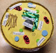 You can make a model cell with things from around your house, or you can buy a few simple items to create a fun, educational project. Animal Cell Model Cecelyfranz