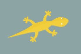 Cicak Sering Masuk Ke Dalam Gelas Berisi Air Dan Centong Nasi Usir Dengan Cara Ini Semua Halaman Bobo