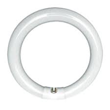 Fc8t9 Circline Light Bulbs 866 637 1530