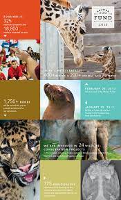 Houston Zoo Annual Fund Tricia Logston Houston Zoo Zoo Education Design
