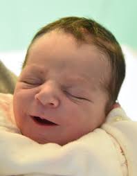 Saint-Bernard. Bienvenue à Mattia