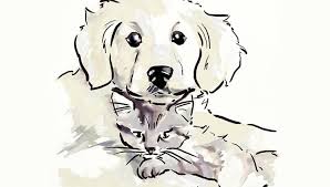 Desen pas cu pas a animalelor dvs. Cainele Si Pisica Si Alergiile Reginamaria Ro