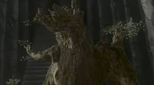 The entwives are described by treebeard as having hair parched by the sun to the hue of ripe corn and their cheeks like red apples. Treebeard The One Wiki To Rule Them All Fandom