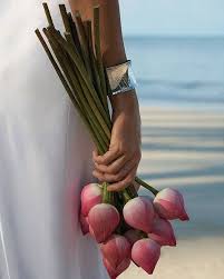 Pin By Secretariaevento On Bring Me Flowers Pink Tulips Beautiful Flowers Love Flowers