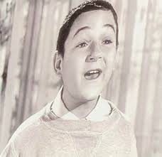 Barry Gordon's acting career and roles in classic TV shows