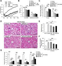 Maybe you would like to learn more about one of these? Ppara Agonist And Metformin Co Treatment Ameliorates Nash In Mice Induced By A Choline Deficient Amino Acid Defined Diet With 45 Fat Scientific Reports