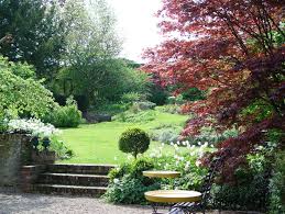 Garten am hang anlegen und schone hangbeete bepflanzen paletten. Garten Am Hang Anlegen Und Bepflanzen Tipps Themen Lokalmatador
