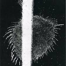 Tuhan, jaga dia untukku kala ku masih jauh bagai menghitung resah berkepingan berderaian tuhan, jaga dia untukku selamanya ku ada mencipta syurga bersama menyayangi mendampingi. Tuhan Jaga Dia Untukku Official Music Video Download Download Astana Last Fm