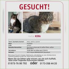 Vermisst katze in 8854 siebnen : Luxus Vermisstenanzeige Katze Vorlage Solche Konnen Anpassen Fur Ihre Wichtigsten Inspiration Dillyhearts Com