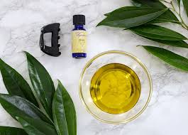How To Make An Olive Oil Hair Mask In 2020 Olive Oil Hair Olive Oil Hair Mask Hair Oil