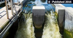 Check if stpeterising.com is down or txt: Sewage Overflow Again Fouls Tampa Bay After Storm The New York Times