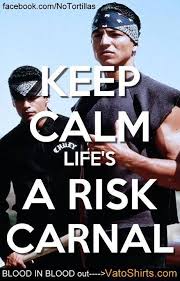 Rick voices the insignificance of their violence, insisting that part of what makes life worth living is taking the risk to do something at all. Quotes About Blood In Blood Out 120 Quotes