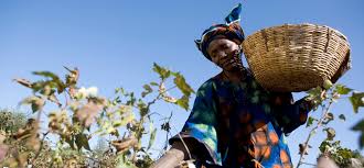 Cotton farmers - Fairtrade