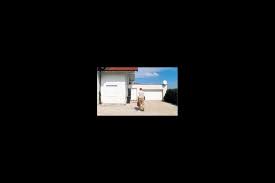 فیلم سینمایی Hundstage 2001 با زیرنویس چسبیده