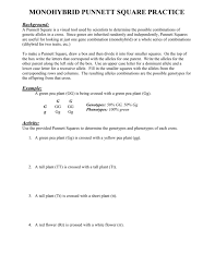 Check spelling or type a new query. Monohybrid Punnett Squares