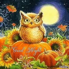 Good Night Owl and Pumpkins - Free animated GIF - PicMix