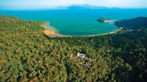 This course takes you deep into the jungle where you will have the highest probability of encountering local wildlife and exotic plants. 10 Rainforest Resorts In Malaysia You Should Check Out Cnn Travel
