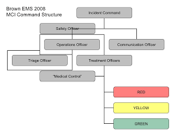 Mci Drill Triage Flowchart 2008