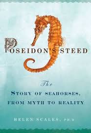 Poseidon's Steed: The Story of Seahorses, from Myth to Reality : Scales Ph.D., Helen: Amazon.fr: Livres