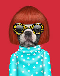 Empire Art Direct Pets Rock Spots Graphic Art On Wrapped Canvas Pets Rock Pets Pet Portraits