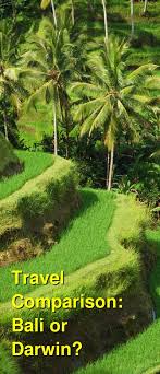 Should I Visit Bali or Darwin? Which is Better for Food, Nightlife,  Beaches, and Couples? Which is Cheaper? Which is More Expensive?