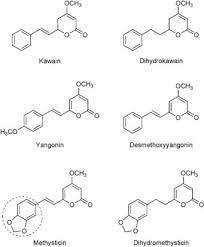 Kavalactones Kavain Dihydrokavain Yangonin Desmethoxyyangonin Download Scientific Diagram