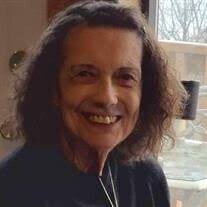 Ann C Sheldon Obituary (2024)