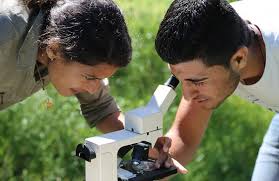 Earth Colab Is Calling All Earthlings To Join Hands For The Environment Edexlive Tasneem ayub khan will tell you how to make it. earth colab is calling all earthlings