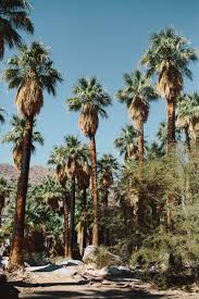 Pin On General Information Palm Springs California