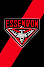 Australian Rules Football Essendon Bombers Are My 3rd Favorite Footy Team Essendon Football Club Football Quilt Afl