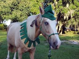Elf Peter Pan Or Robin Hood Costume For Horses Drafts Minis Ponies Green Equine Costume Horse Costumes Horse Halloween Costumes Horses
