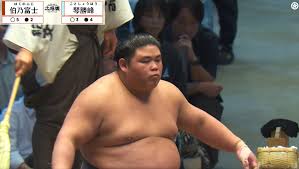憤りの声も「首の後ろに一発入った。琴勝峰がちょっとフラフラと ...