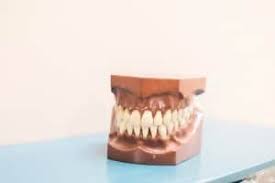 Ma prothese du bas ne tient pas.que faire?. Dentier Types De Protheses Prix Couts Nutrident