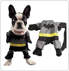 Ci dispiace!, questo gioco funziona solo sul tuo computer. Vestito Completo Mantello Gatto Cucciolo Di Cane Cotone Batman Festa Art Batman Questo Costume Per Cane Da Batman Pratico E Divertente E Ideale Da Usare Durante La Festa Di Carnevale O Hallowenn