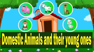 Domestic Animals And Their Young Ones Farm Animals Babies Name Kid2t Young Ones Animals Baby Animals