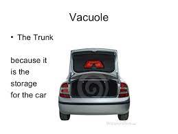 We did not find results for: Cell Analogy Zachary